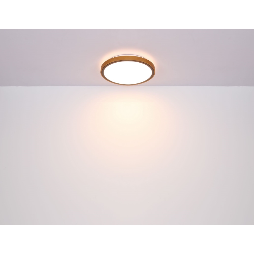Globo - LED plafonsko svetlo LED/12W/230V 3000/4500/6000K prečnika 30 cm