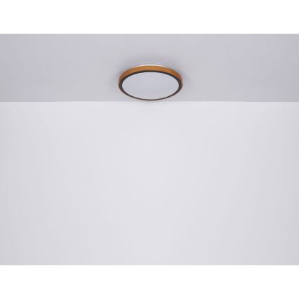 Globo - LED plafonsko svetlo LED/12W/230V 3000/4500/6000K prečnika 30 cm