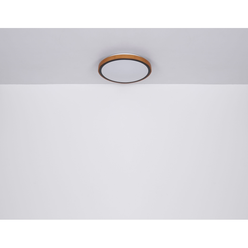 Globo - LED plafonsko svetlo LED/12W/230V 3000/4500/6000K prečnika 30 cm