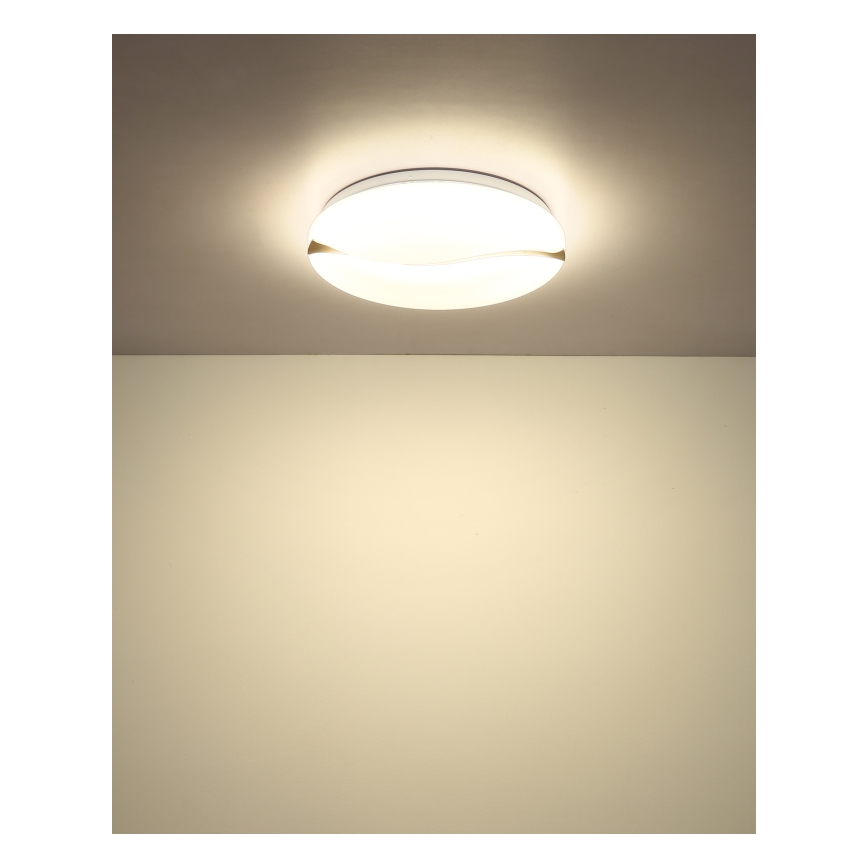 Globo - LED plafonjera LED/24W/230V 3000/4200/6000K, prečnik 33 cm