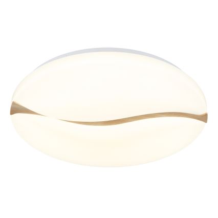 Globo - LED plafonjera LED/24W/230V 3000/4200/6000K, prečnik 33 cm