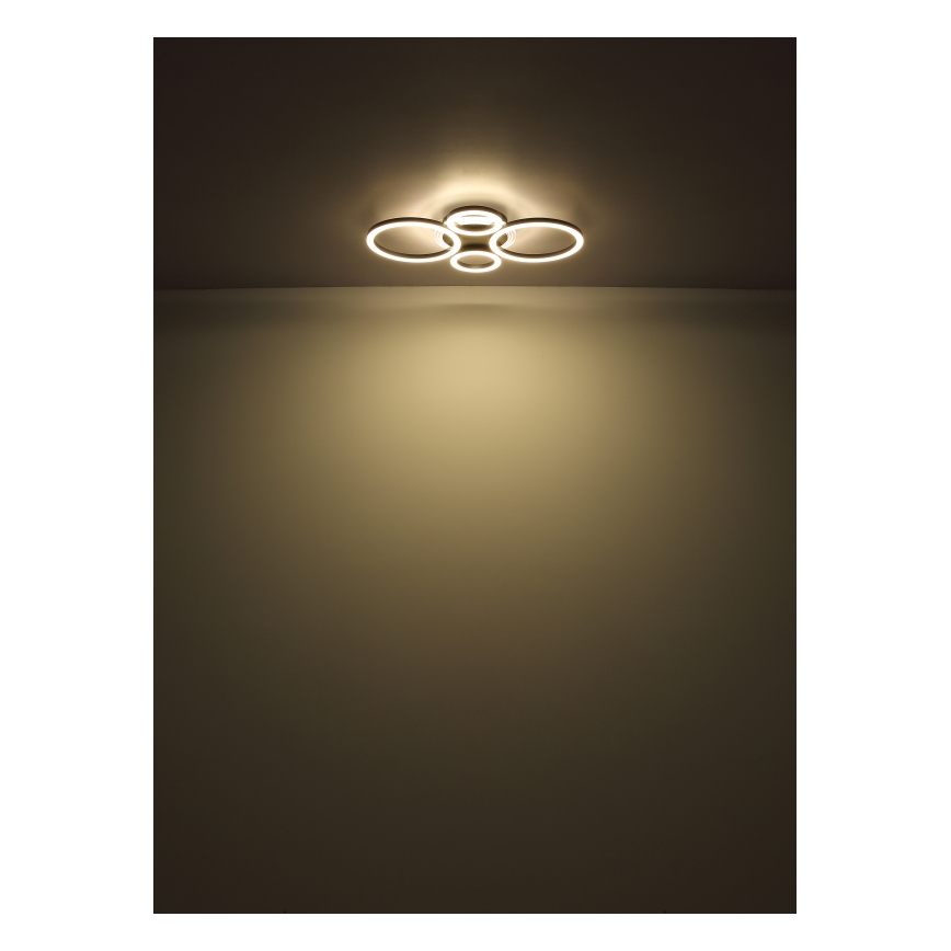 Globo - LED plafonsko svetlo LED/40W/230V 2700/4500/6500K preč. 35,5x53 cm crna