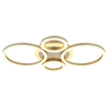 Globo - LED plafonska svetiljka LED/40W/230V 2700/4500/6500K prečnik 35,5x53 cm mesing