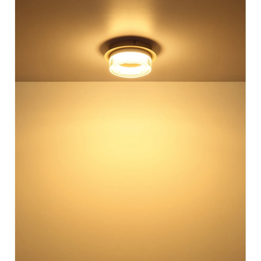 Globo - LED stropna svetiljka LED/8W/230V 3000K, prečnik 16 cm