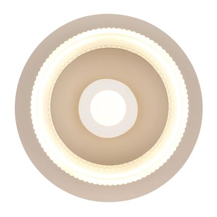 Globo - LED stropna svetiljka LED/8W/230V 3000K, prečnik 16 cm