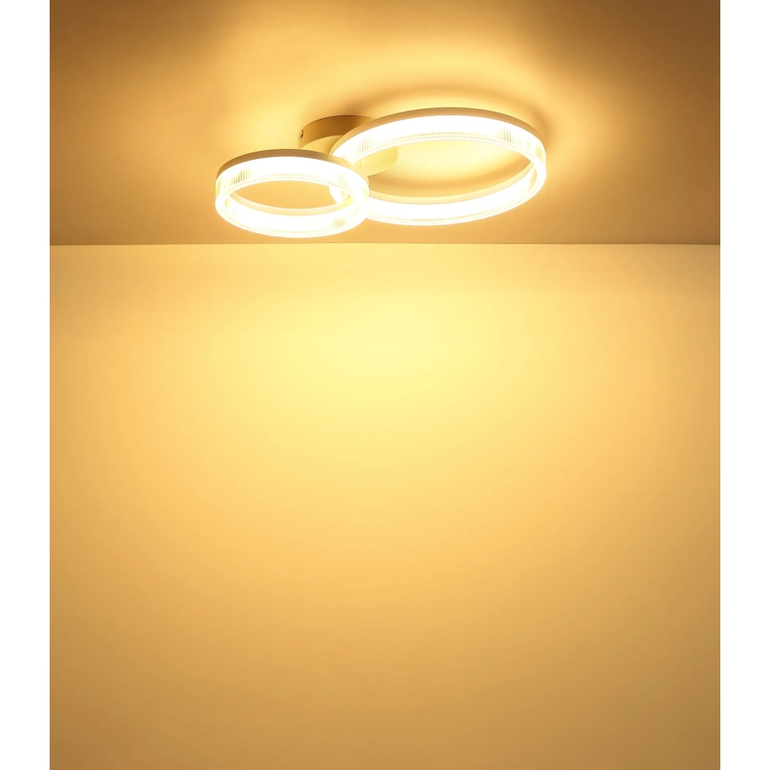 Globo - LED plafonsko svetlo LED/24W/230V 3000K 33x50 cm