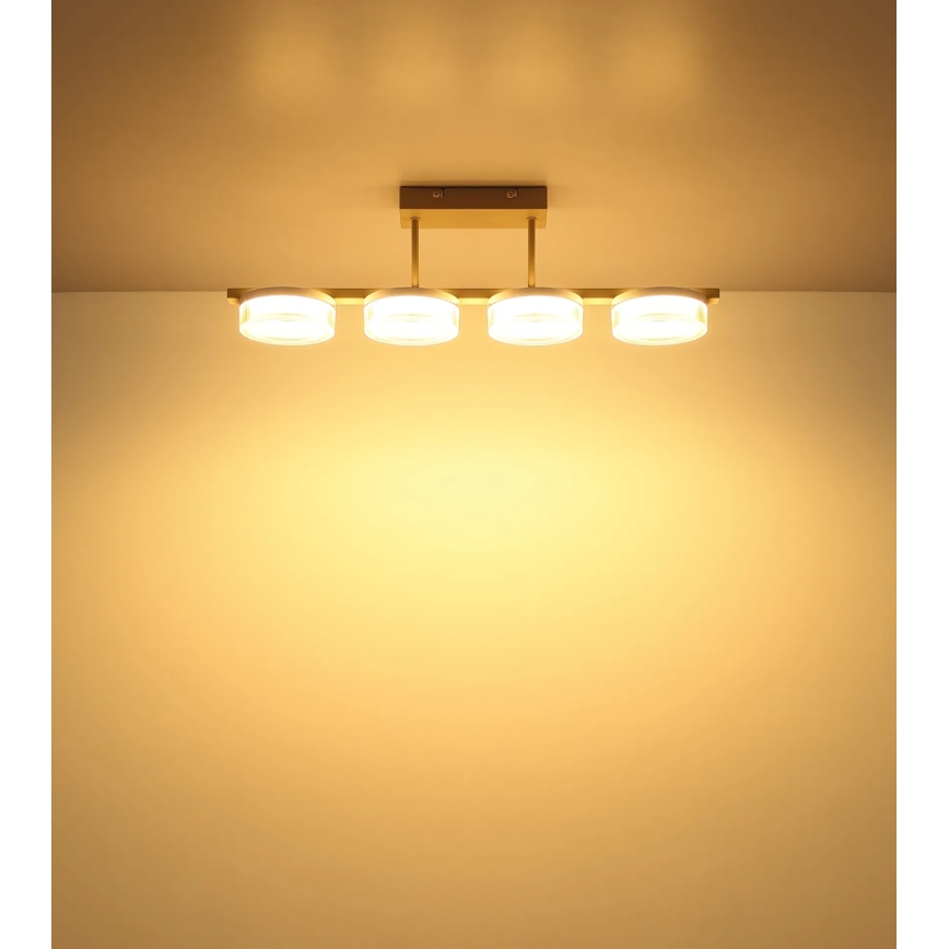 Globo - LED nadgradni luster LED/24W/230V 3000K