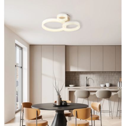 Globo - LED plafonsko svetlo LED/24W/230V 3000K 40,5x51 cm