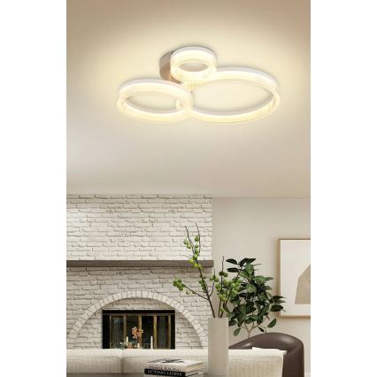 Globo - LED plafonsko svetlo LED/24W/230V 3000K 40,5x51 cm