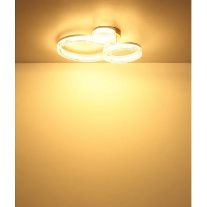 Globo - LED plafonsko svetlo LED/24W/230V 3000K 40,5x51 cm