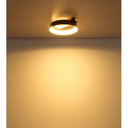 Globo - LED plafonsko svetlo LED/12W/230V 3000K 26x25 cm