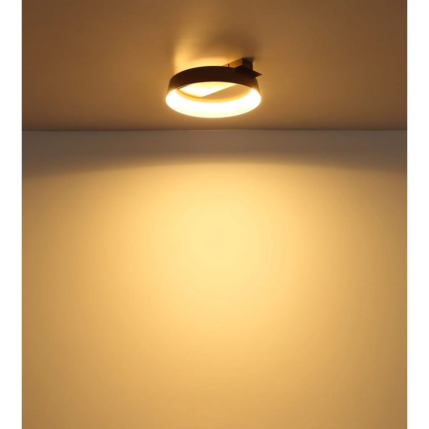 Globo - LED plafonsko svetlo LED/12W/230V 3000K 26x25 cm