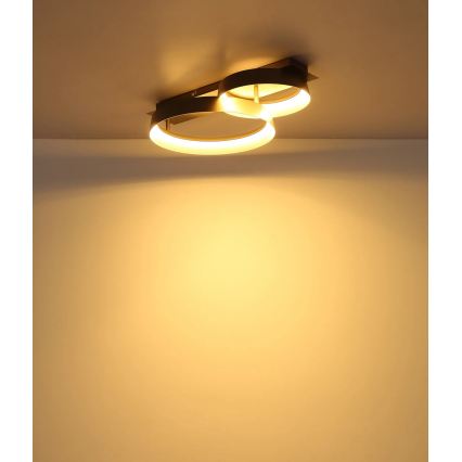 Globo - LED plafonsko svetlo LED/24W/230V 3000K 50x35 cm