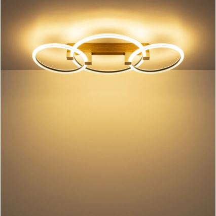 Globo - LED stropno svetlo LED/40W/230V 3000K 76,1x38 cm braon