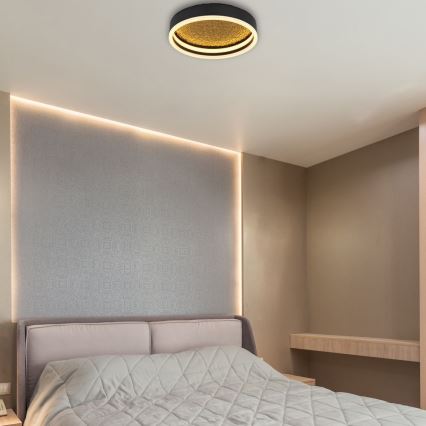 Globo - LED plafonsko svetlo LED/24W/230V prečnik 30 cm crno