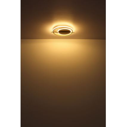 Globo - LED plafonsko svetlo LED/36W/230V