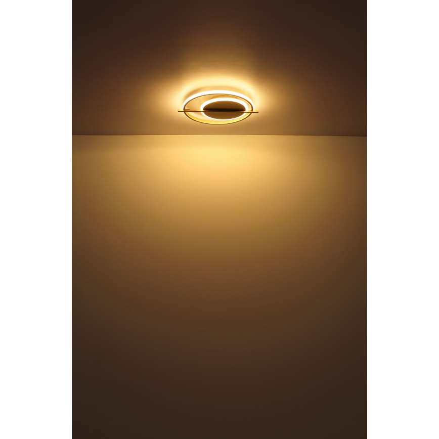 Globo - LED plafonsko svetlo LED/36W/230V