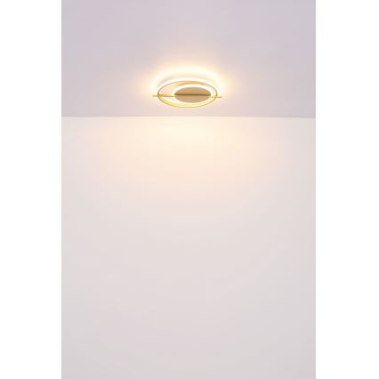 Globo - LED plafonsko svetlo LED/36W/230V