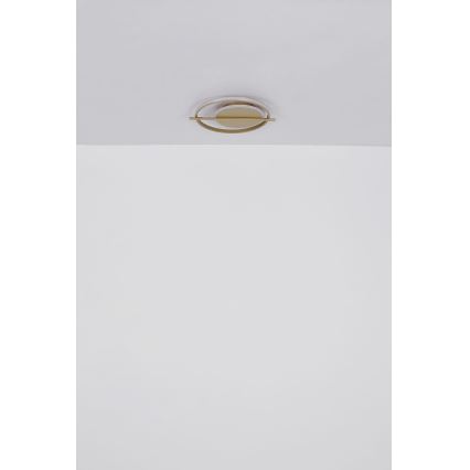 Globo - LED plafonsko svetlo LED/36W/230V