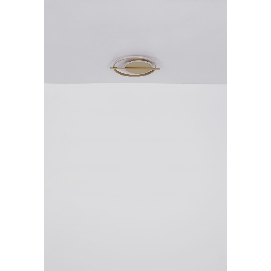 Globo - LED plafonsko svetlo LED/36W/230V