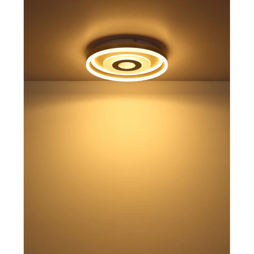Globo - LED stropna svetiljka LED/24W/230V 3000K prečnik 40 cm