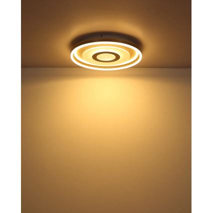 Globo - LED stropna svetiljka LED/40W/230V 3000K prečnik 50 cm