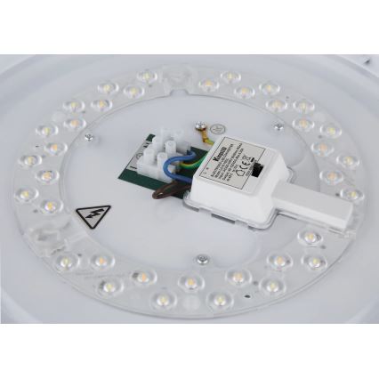 Globo - LED stropno svetlo LED/24W/230V 3000/4000/6000K prečnik 38 cm bela/matni hrom