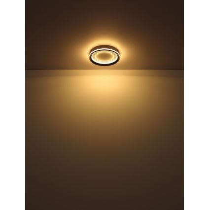 Globo - prigušiva LED plafonska lampa LED/24W/230V 2700-6000K + daljinski upravljač