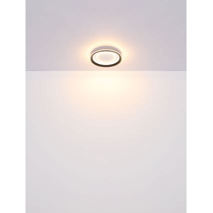 Globo - prigušiva LED plafonska lampa LED/24W/230V 2700-6000K + daljinski upravljač