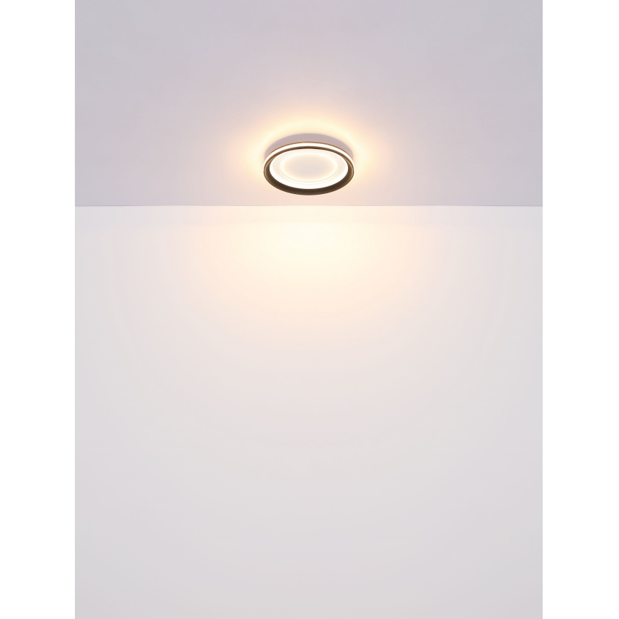 Globo - prigušiva LED plafonska lampa LED/24W/230V 2700-6000K + daljinski upravljač
