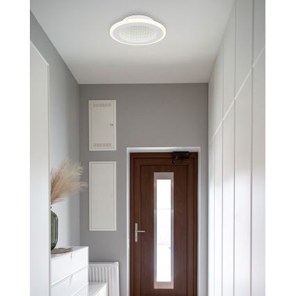 Globo - LED plafonsko svetlo LED/12W/230V 4000K