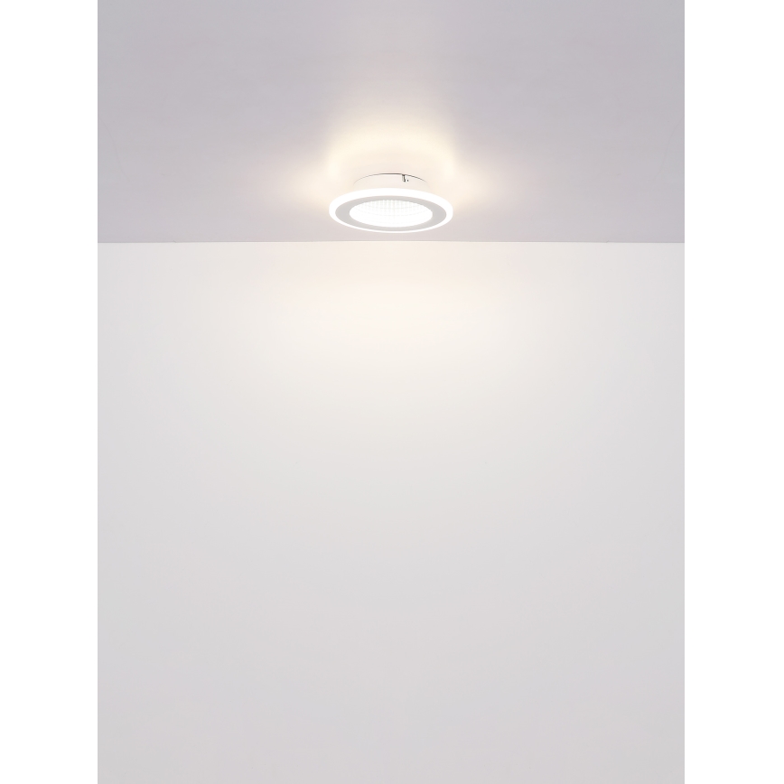 Globo - LED plafonsko svetlo LED/12W/230V 4000K