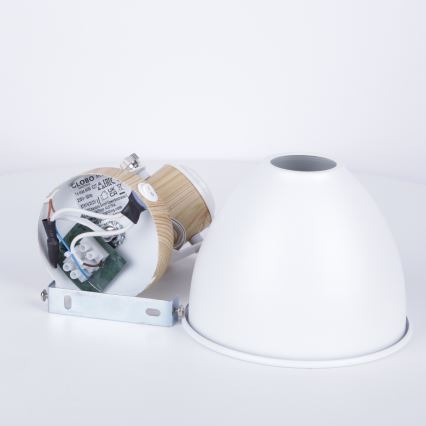 Globo - Zidno spot svetlo 1xE27/40W/230V