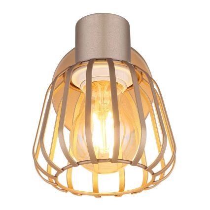 Globo - Zidna usmerena svetiljka 1xE27/40W/230V