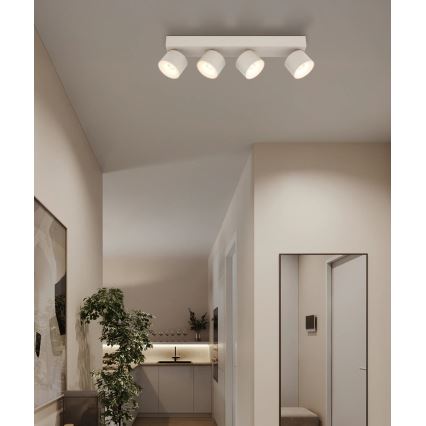 Globo - LED spot svetiljka 4xLED/6W/230V