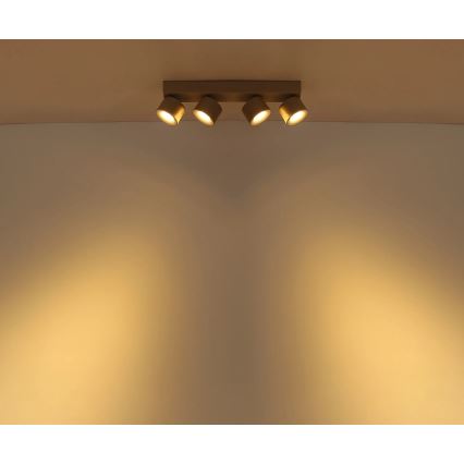 Globo - LED spot svetiljka 4xLED/6W/230V