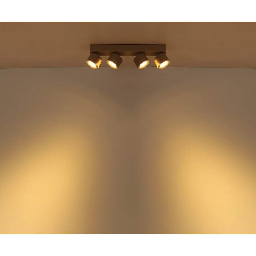 Globo - LED spot svetiljka 4xLED/6W/230V