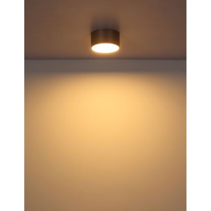 Globo - LED stropna svetiljka LED/12W/230V prečnika 15 cm 3000K mesing