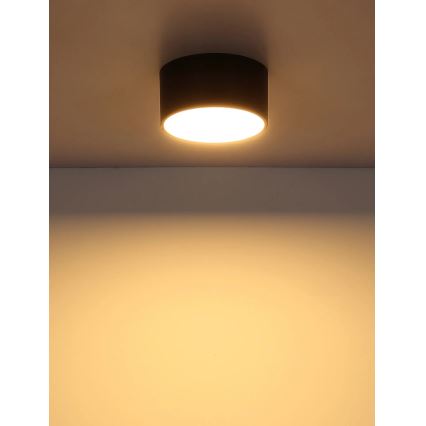 Globo - LED plafonsko svetlo LED/12W/230V 3000K pr. 15 cm crna