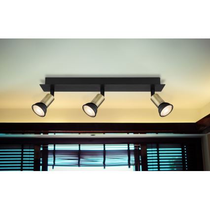 Globo - Trostruko stropno spot svetlo 3xGU10/35W/230V crna/mesing