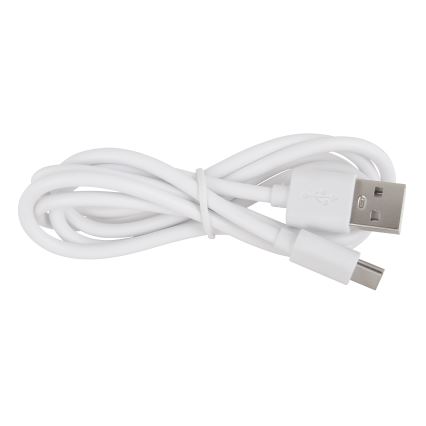 Globo - LED prigušiva dodirna spoljašnja lampa LED/3W/3,7V IP44 1800 mAh USB bela