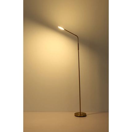 Globo - LED prigušiva dodirna podna lampa LED/6,5W/230V 2700/3350/4000K mesing