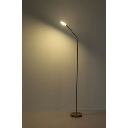 Globo - LED prigušiva dodirom podna lampa LED/6,5W/230V 2700/3350/4000K bež