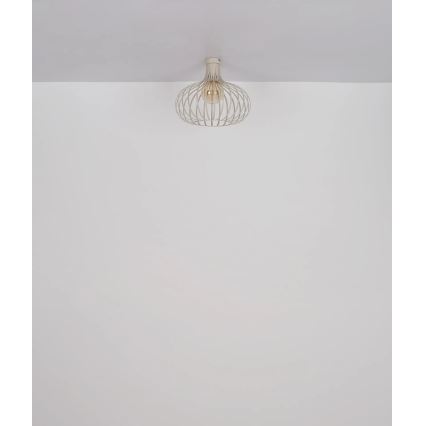 Globo - Stropno svetlo 1xE27/40W/230V