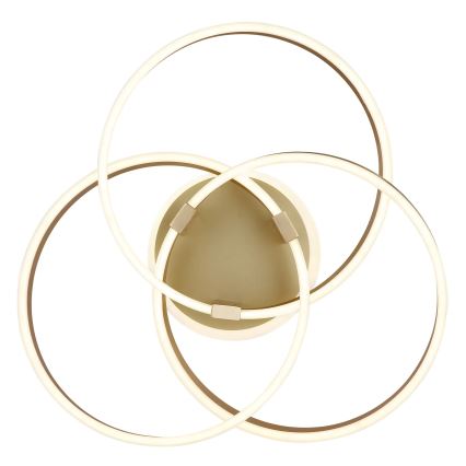 Globo - LED prigušiva plafonsko svetlo LED/56W/230V 2700-6000K 57,5x60 cm zlatno + daljinski upravljač