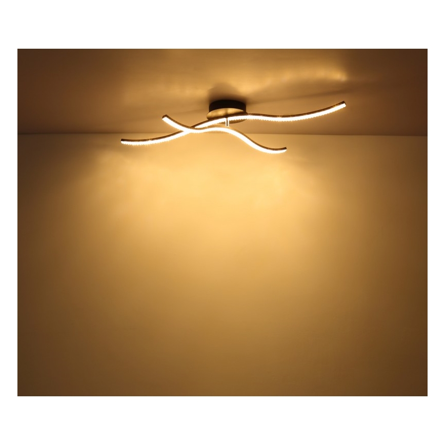 Globo - LED plafonski luster za površinsku montažu LED/20W/230V