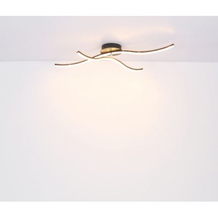 Globo - LED plafonski luster za površinsku montažu LED/20W/230V