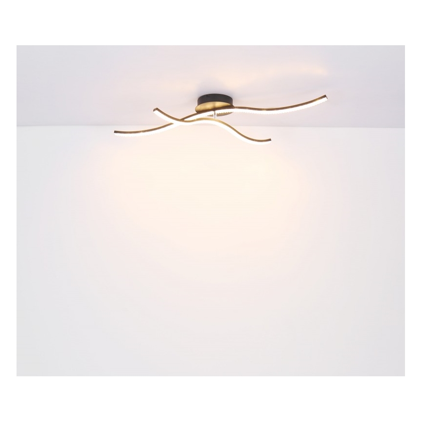 Globo - LED plafonski luster za površinsku montažu LED/20W/230V
