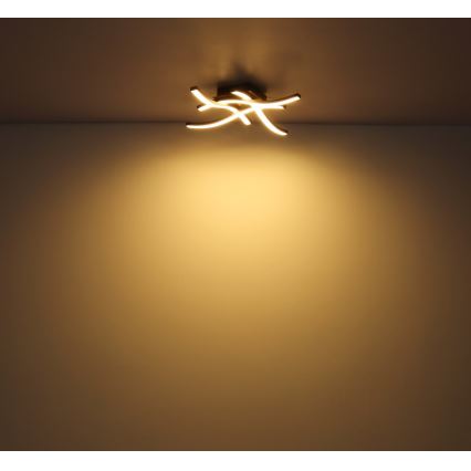 Globo - LED plafonski luster 4xLED/5W/230V