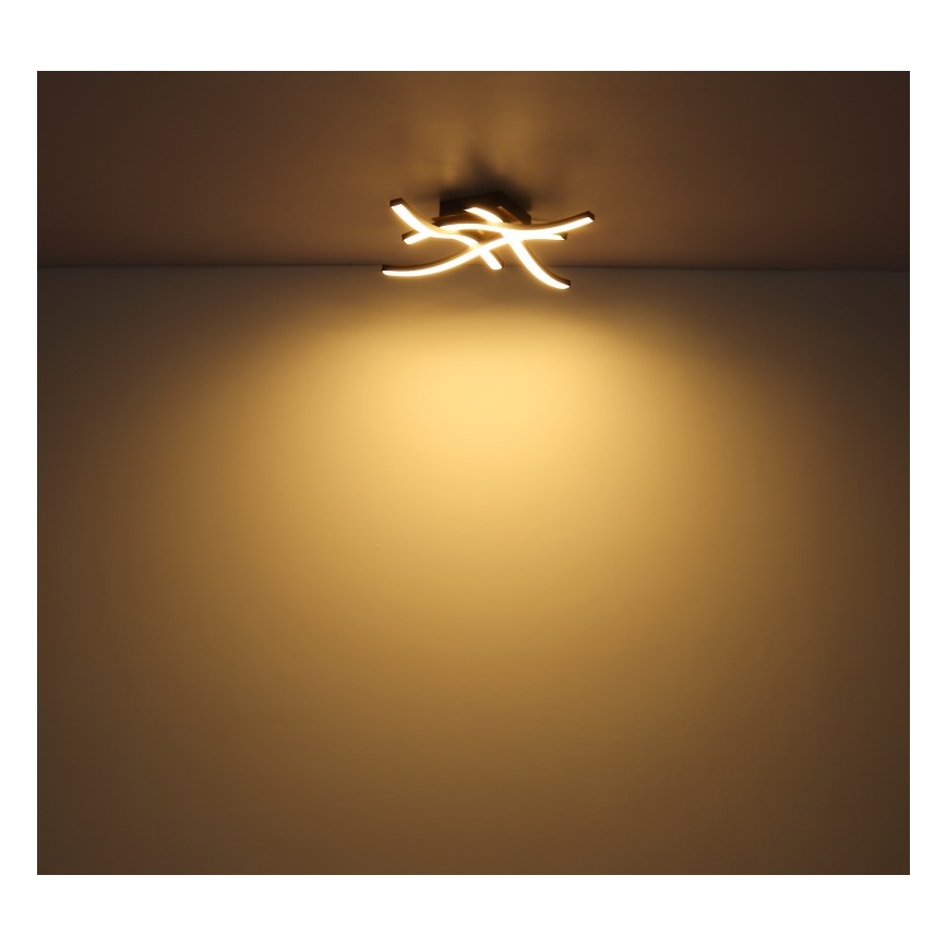 Globo - LED plafonski luster 4xLED/5W/230V